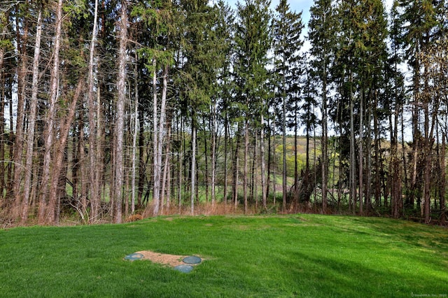 245 Paradise Ave, Hamden, CT 06514 - view of yard
