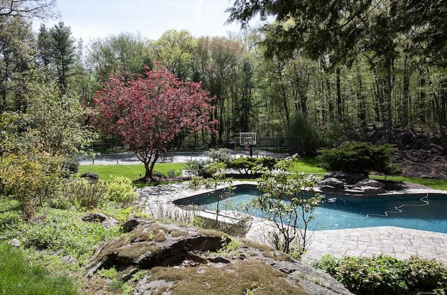 18 Cardinal Rd, Weston, CT 06883 - view of swimming pool