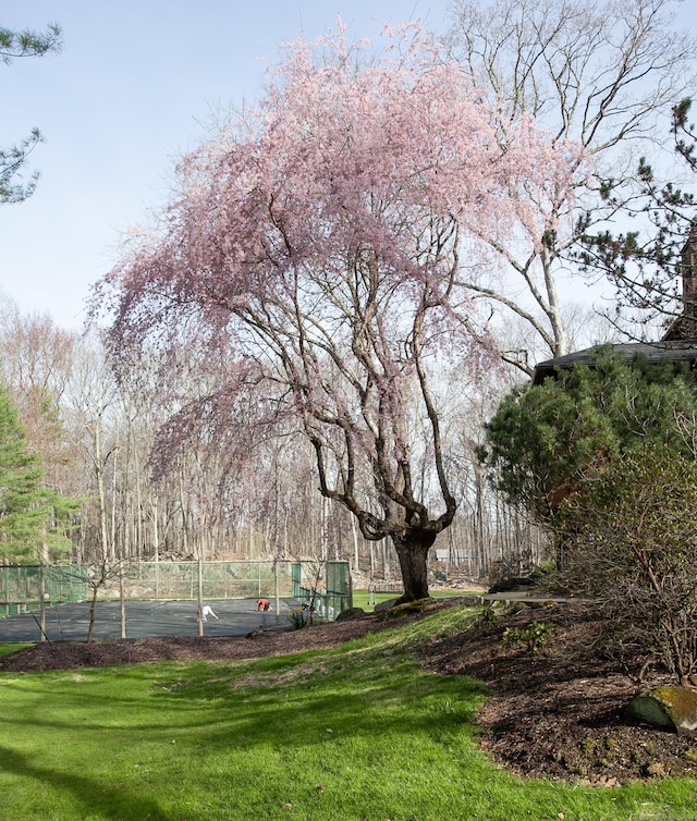 18 Cardinal Rd, Weston, CT 06883 - view of community with a tennis court