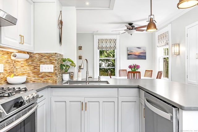 kitchen with ceiling fan, appliances with stainless steel finishes, a sink, under cabinet range hood, and white cabinetry