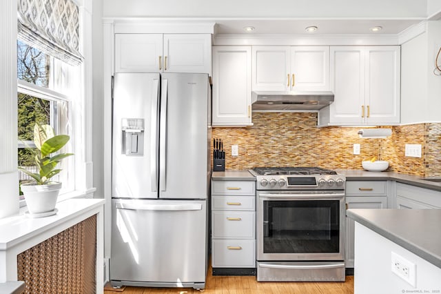 kitchen with white cabinetry, backsplash, under cabinet range hood, and stainless steel appliances