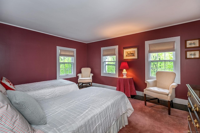 341 Housatonic River Rd, Salisbury, CT 06068 - carpeted bedroom featuring baseboards and ornamental molding