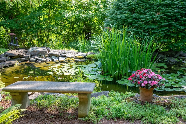 341 Housatonic River Rd, Salisbury, CT 06068 - exterior view of a small pond