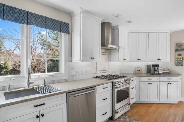 kitchen featuring wall chimney range hood, plenty of natural light, backsplash, a sink, and stainless steel appliances