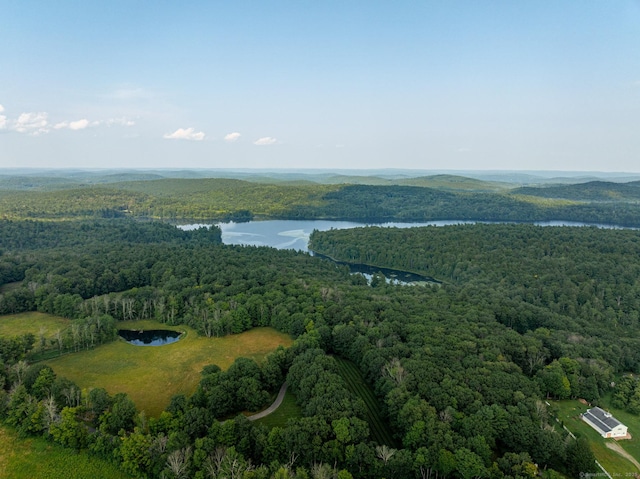 bird's eye view featuring a view of trees and a water view