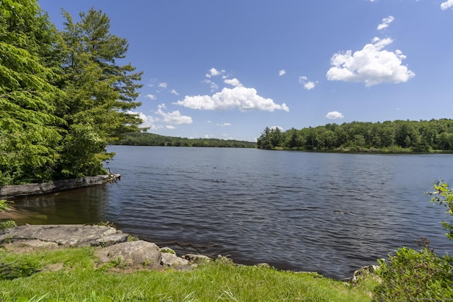view of water feature with a view of trees