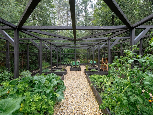 view of yard with a garden