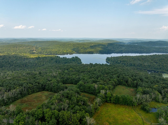 aerial view featuring a water view and a wooded view