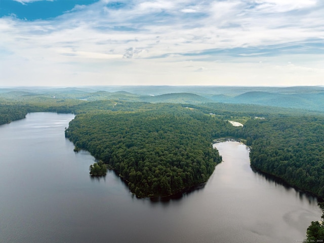 drone / aerial view featuring a wooded view and a water view
