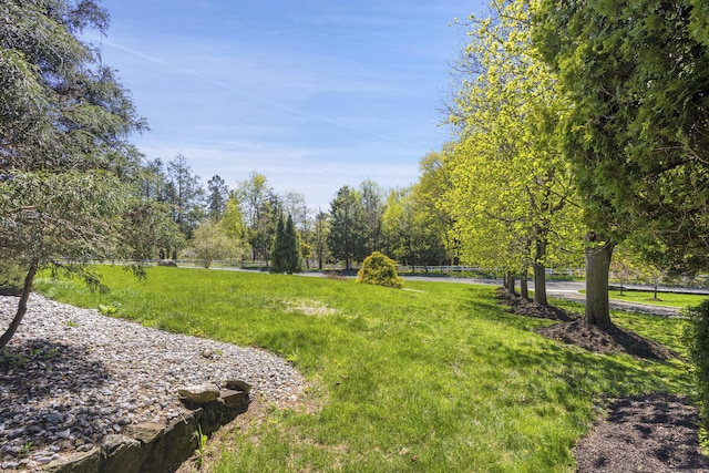 21 Centennial Dr, Danbury, CT 06811 - view of property's community