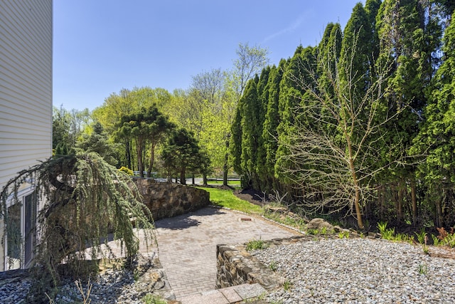 21 Centennial Dr, Danbury, CT 06811 - view of yard