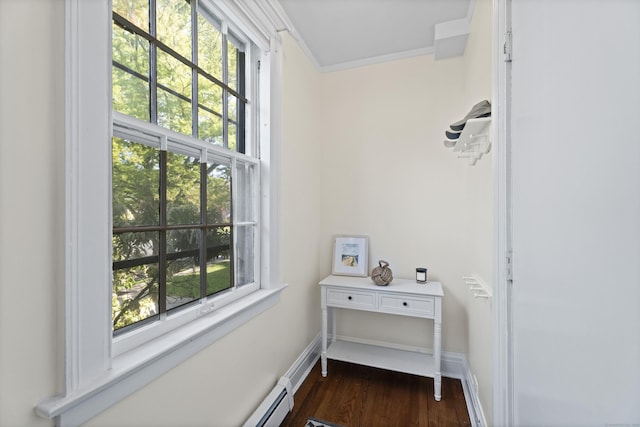 498 Whitney Ave Unit 1D, New Haven, CT 06511 - doorway to outside with ornamental molding, dark wood finished floors, and baseboards