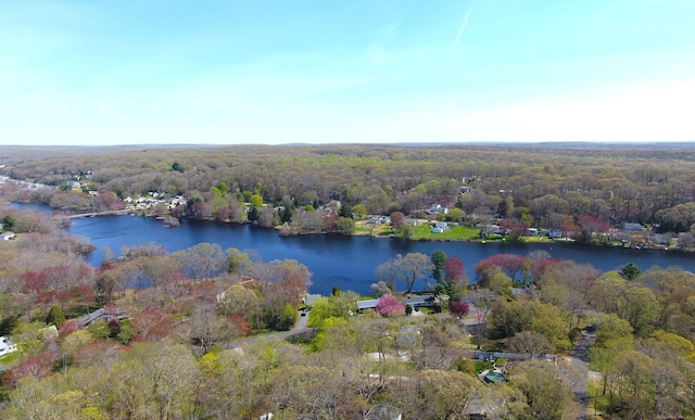 bird's eye view with a water view and a forest view
