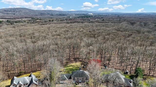 17 Hidden Oak Dr, Farmington, CT 06032 - view from above of property featuring a forest and mountains