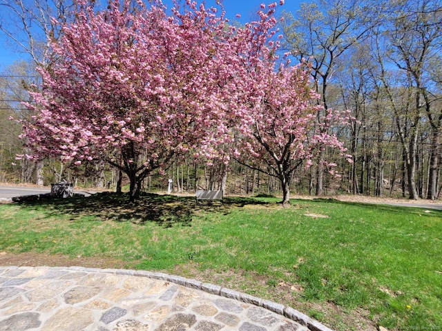 340 Webb Cir, Monroe, CT 06468 - view of yard