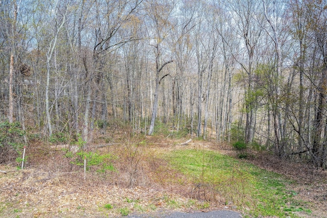 16 November Trl, Haddam, CT 06438 - view of nature with a view of trees