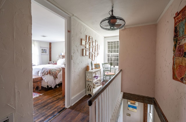 469 Platt Hill Rd, Winchester, CT 06098 - hall with ornamental molding, a textured wall, dark wood-style floors, and a healthy amount of sunlight