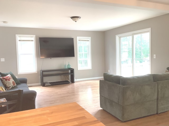 3 Henry Rd, Enfield, CT 06082 - living room featuring light wood-style floors and baseboards