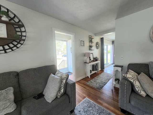 living room with baseboards and wood finished floors