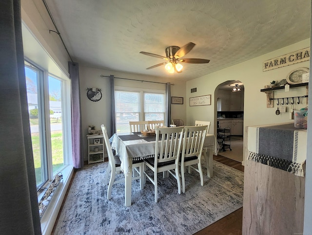 dining space featuring arched walkways, plenty of natural light, and wood finished floors
