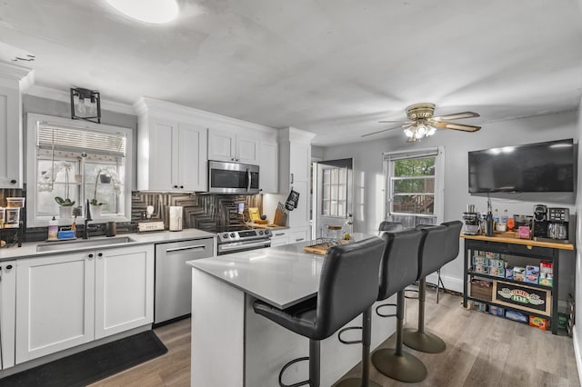 kitchen with a sink, white cabinets, a ceiling fan, and stainless steel appliances