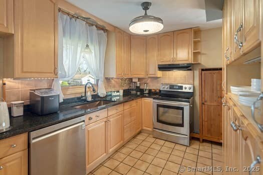 127 Pleasant View Rd, Derby, CT 06418 - kitchen featuring a sink, backsplash, open shelves, under cabinet range hood, and appliances with stainless steel finishes