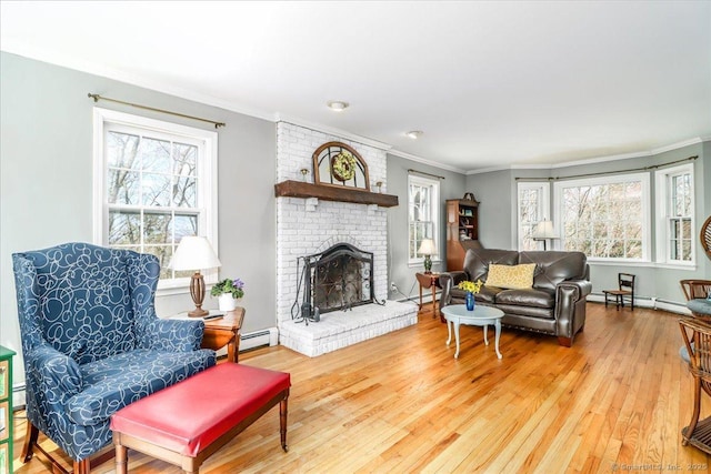 19 Fairchild Rd, Newtown, CT 06470 - living room with a baseboard radiator, plenty of natural light, and crown molding