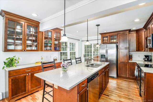19 Fairchild Rd, Newtown, CT 06470 - kitchen featuring light wood finished floors, a kitchen breakfast bar, stainless steel appliances, ornamental molding, and a sink