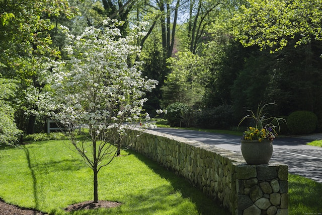 view of home's community with a lawn