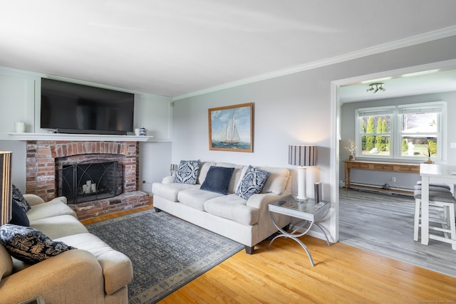 living area with wood finished floors, a fireplace, and crown molding