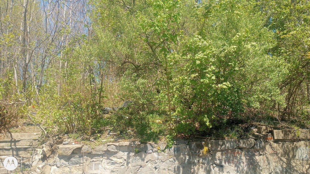 Catherine Ave, Waterbury, CT 06701