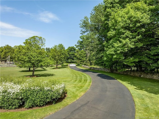 229 Umpawaug Rd, Redding, CT 06896 - view of home's community featuring a lawn and view of scattered trees