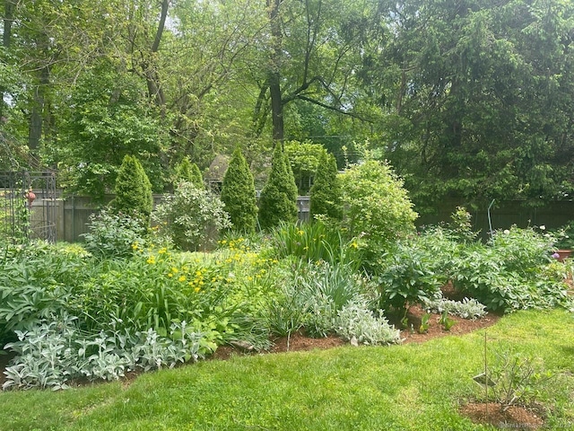 view of nature
