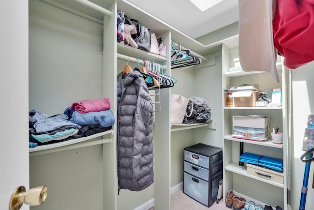 spacious closet featuring carpet flooring
