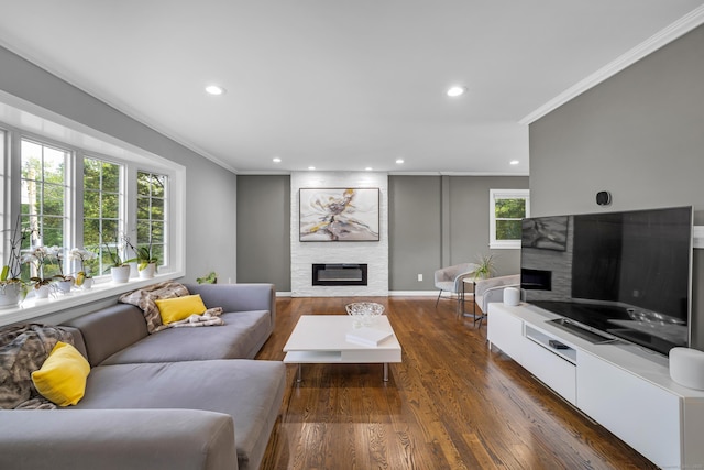 11 Botte Dr, West Haven, CT 06516 - living room with a large fireplace, crown molding, recessed lighting, dark wood-style flooring, and baseboards