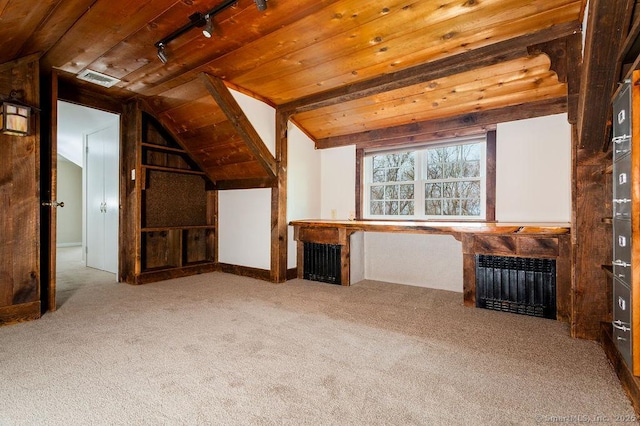 15 Fox Den Rd, Danbury, CT 06811 - additional living space with radiator, vaulted ceiling, a fireplace, and carpet