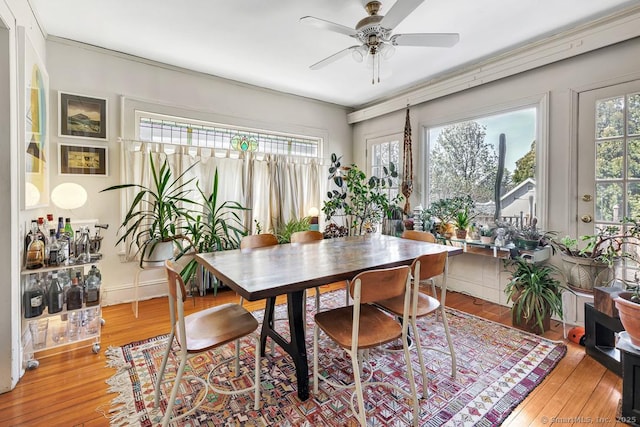dining room featuring light wood-type flooring and a ceiling fan