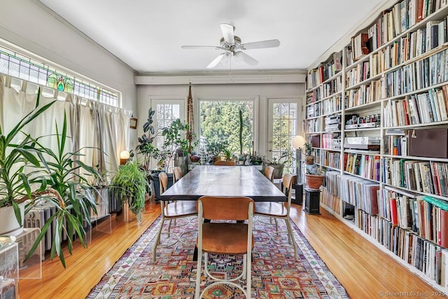 dining room with a ceiling fan, crown molding, and wood-type flooring