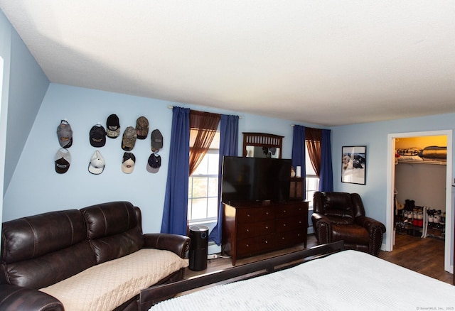 13 Damato Dr, Stonington, CT 06378 - bedroom featuring wood finished floors, a closet, and a walk in closet