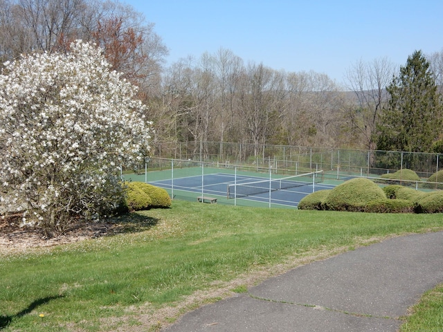 9 Heritage Cir Unit D, Southbury, CT 06488 - view of tennis court