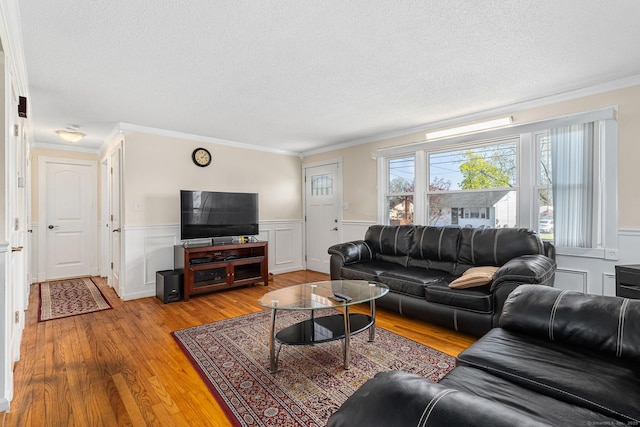 living room with light wood-style floors, ornamental molding, wainscoting, and a textured ceiling