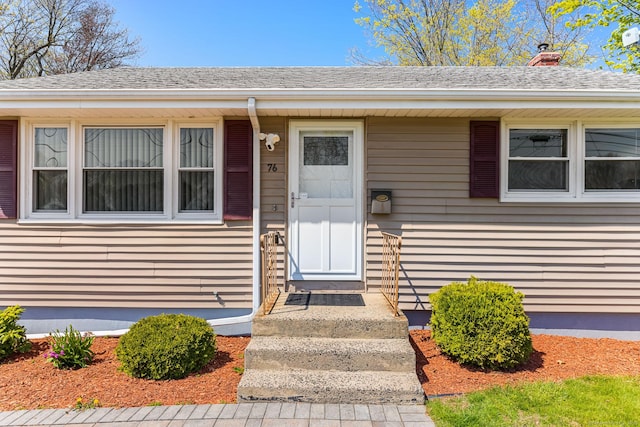 doorway to property featuring roof with shingles