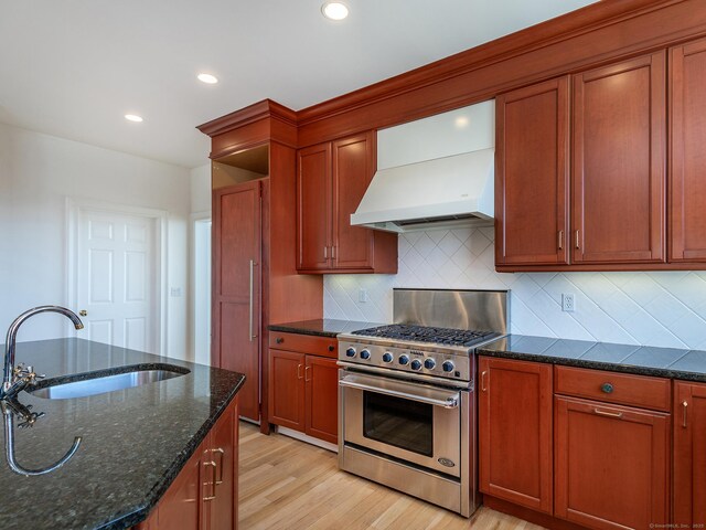 293 Lake Rd, Warren, CT 06777 - kitchen with high end range, a sink, custom range hood, light wood-type flooring, and tasteful backsplash