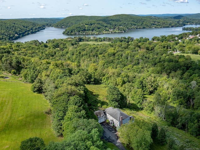 293 Lake Rd, Warren, CT 06777 - bird's eye view of a heavily wooded area and a large body of water