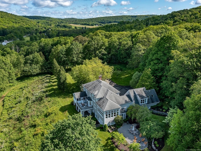 293 Lake Rd, Warren, CT 06777 - aerial view of property and surrounding area with a heavily wooded area