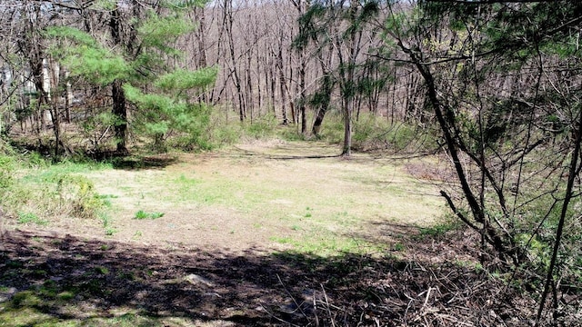 335 Paradise Ave, Hamden, CT 06514 - view of landscape featuring a wooded view