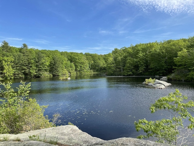 water view with a view of trees