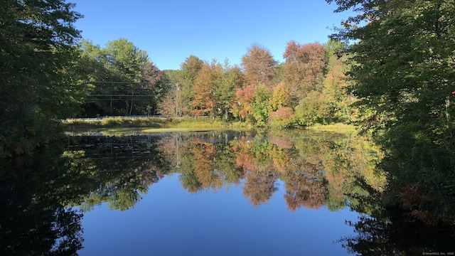 view of water feature with a wooded view