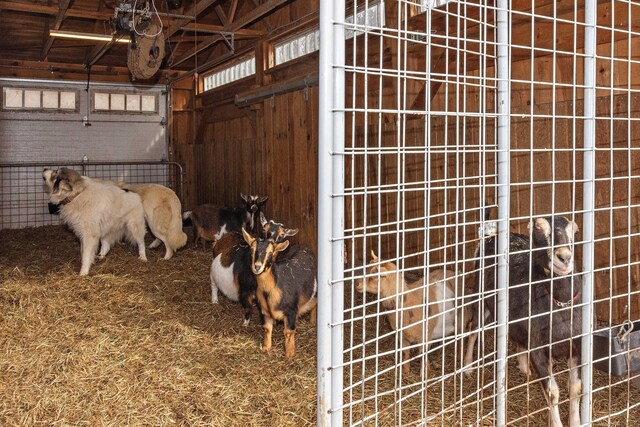 view of stable