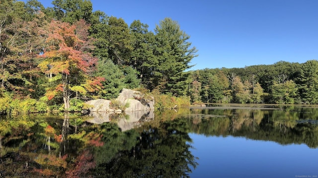 water view with a view of trees